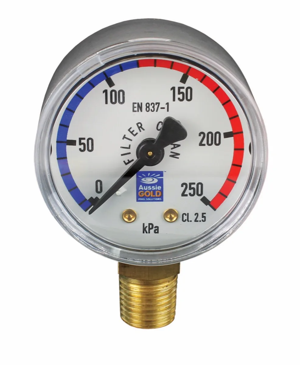 Pressure Gauge S/s Lower Mount