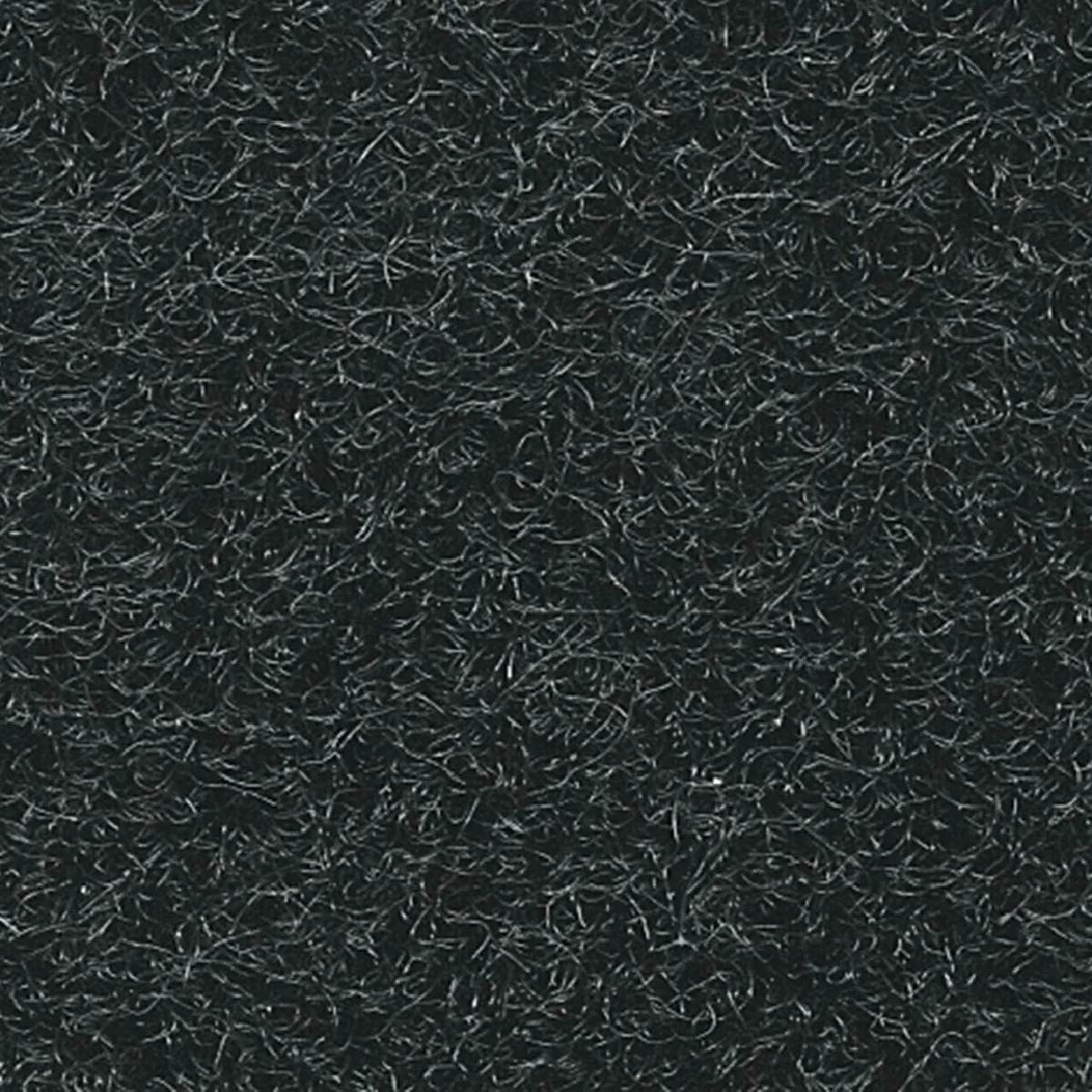 Raider Marine Carpet Black