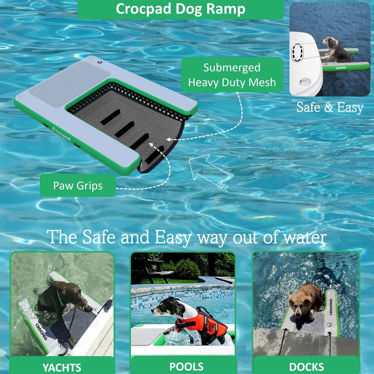 Above ground pool dog ramp best sale