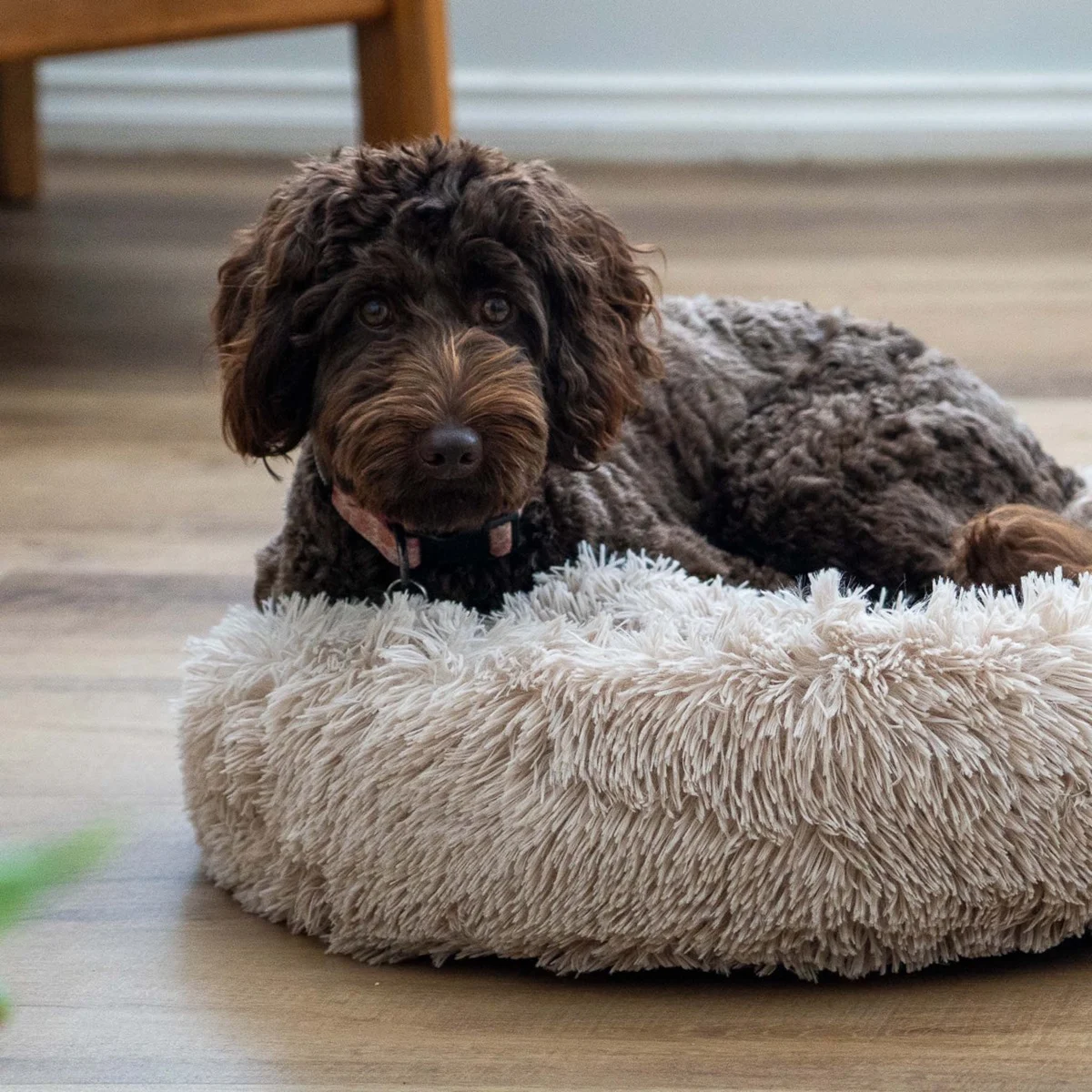 Donut Faux Fur Pet Bed Small