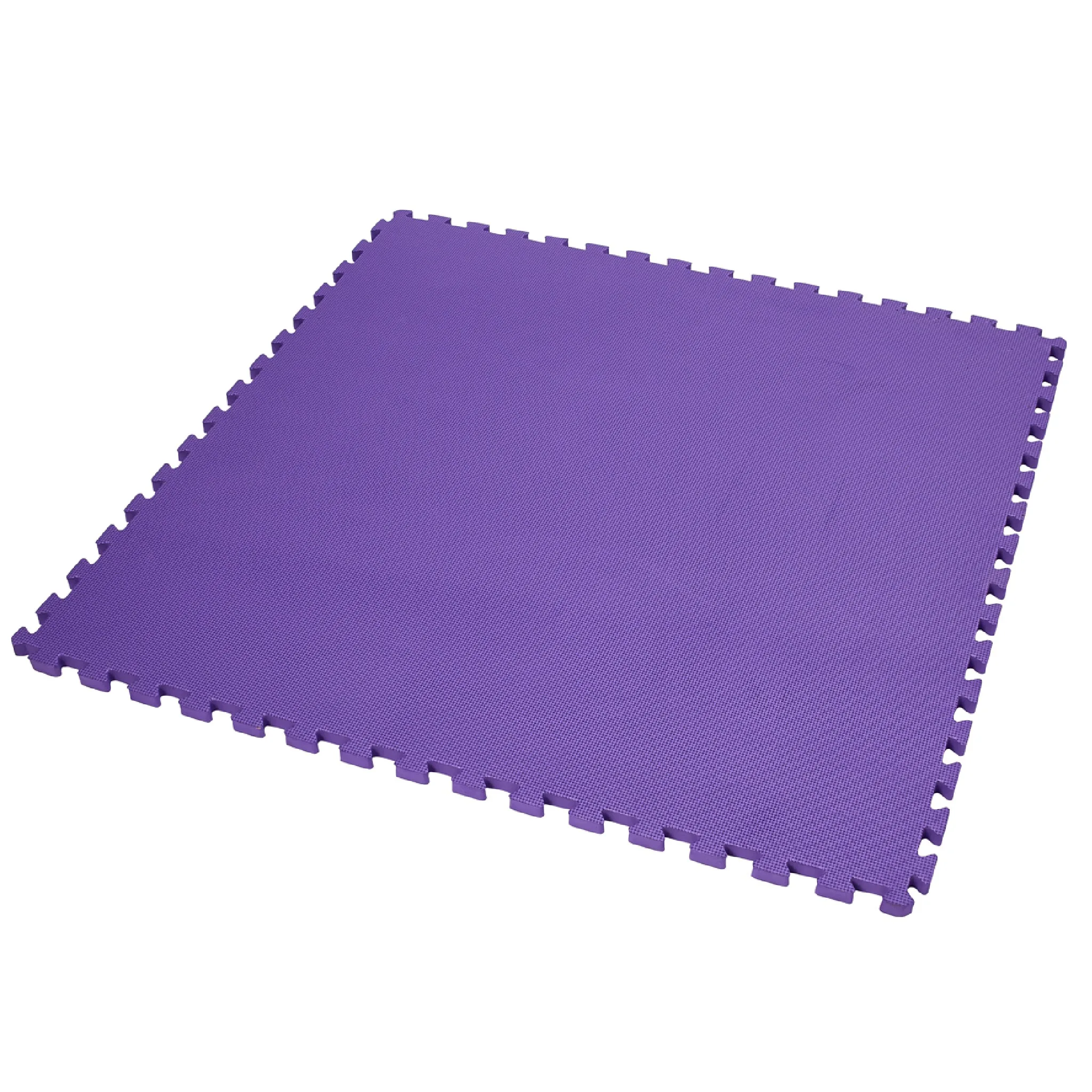 Premium Grade Gym Tile Blue