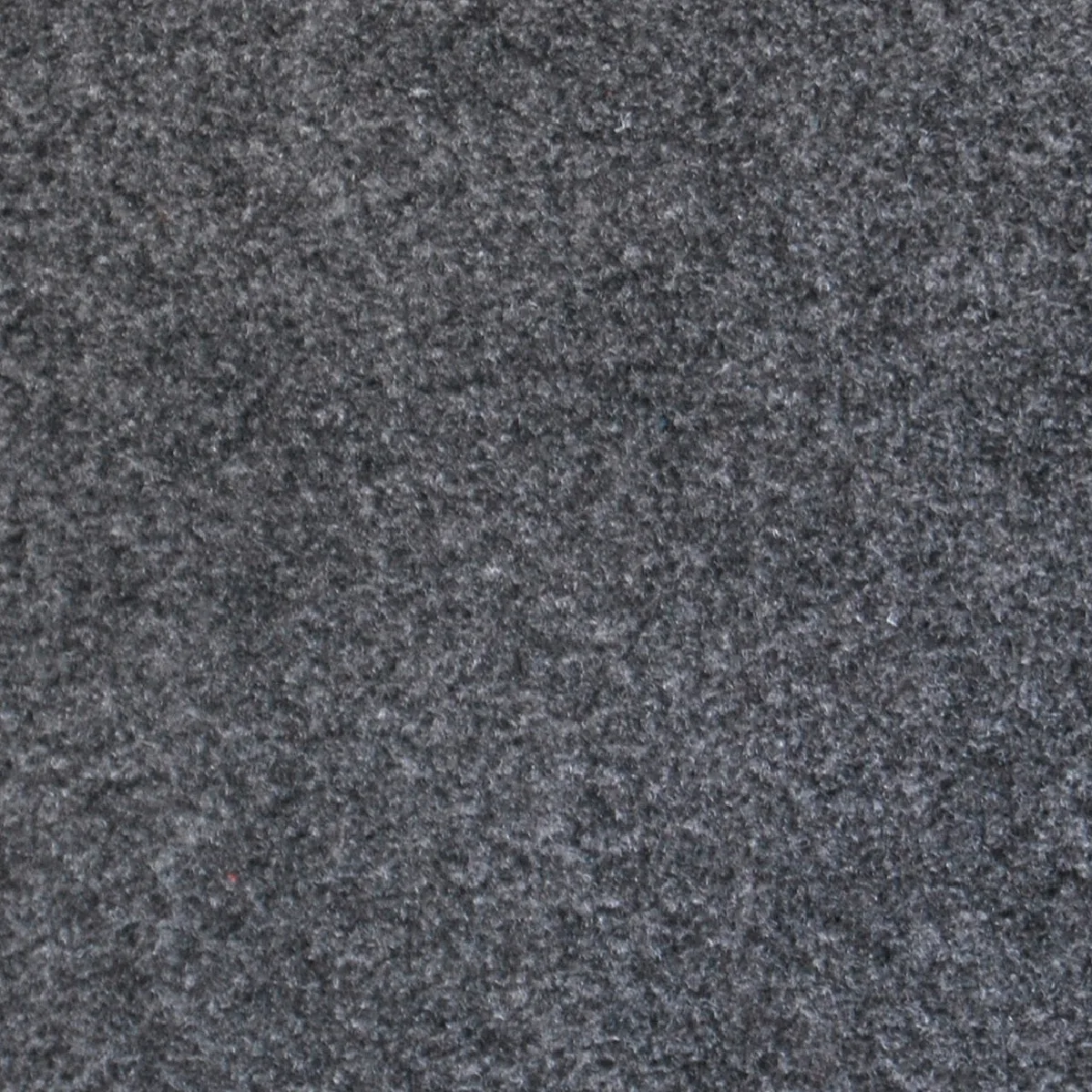 Accent Carpet Anthracite