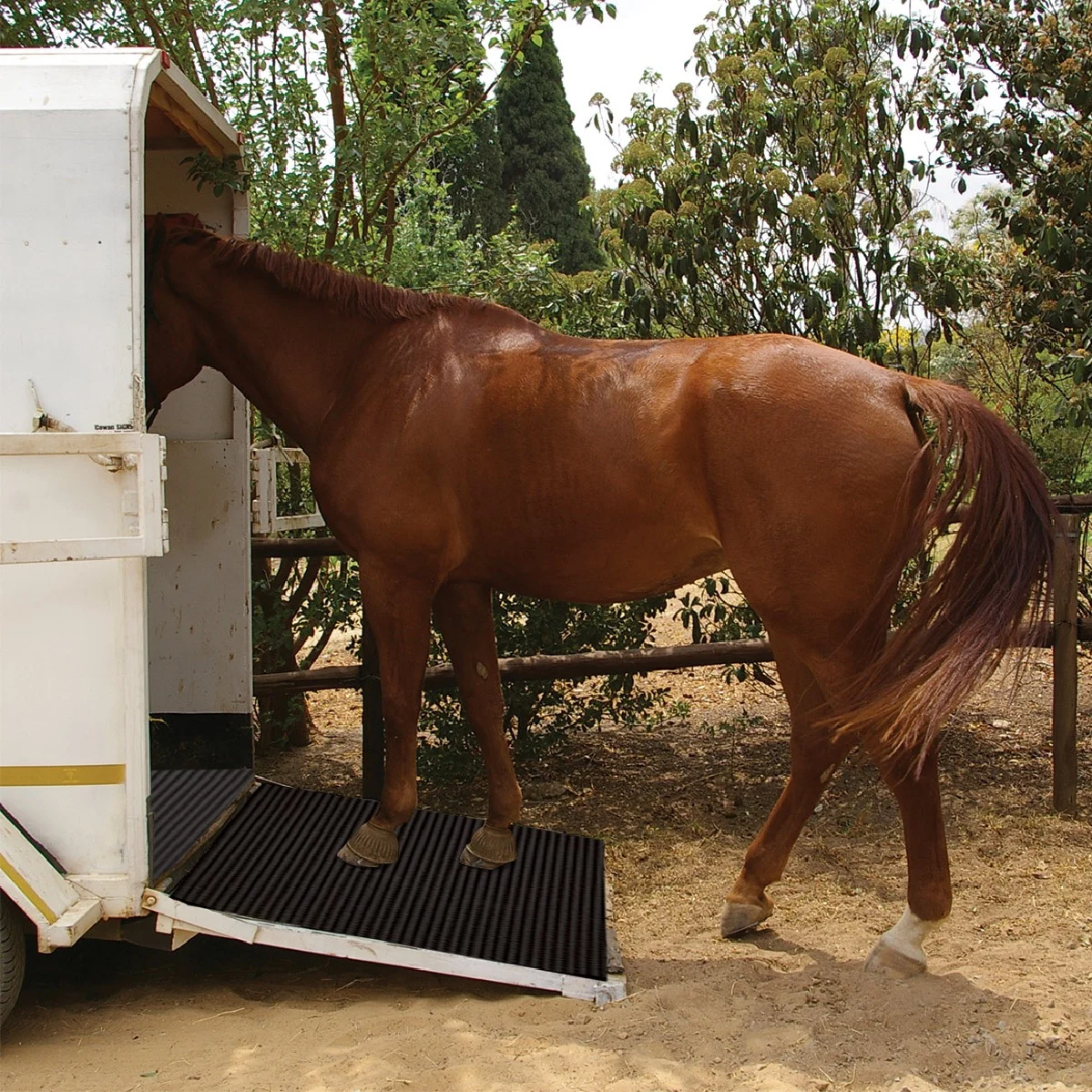 Equine Rubber Floor Matting 8.00mm