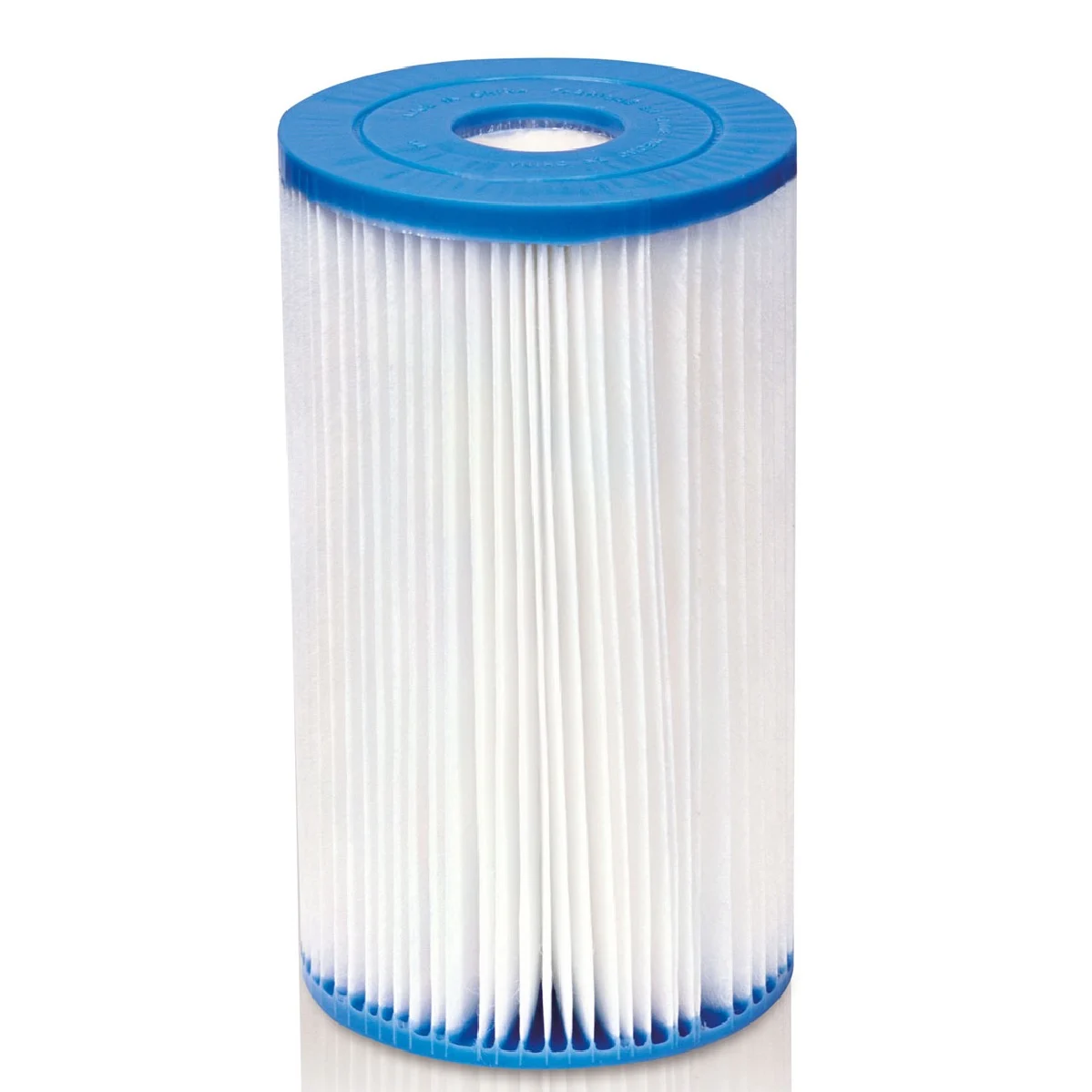 Intex Filter Cartridge B